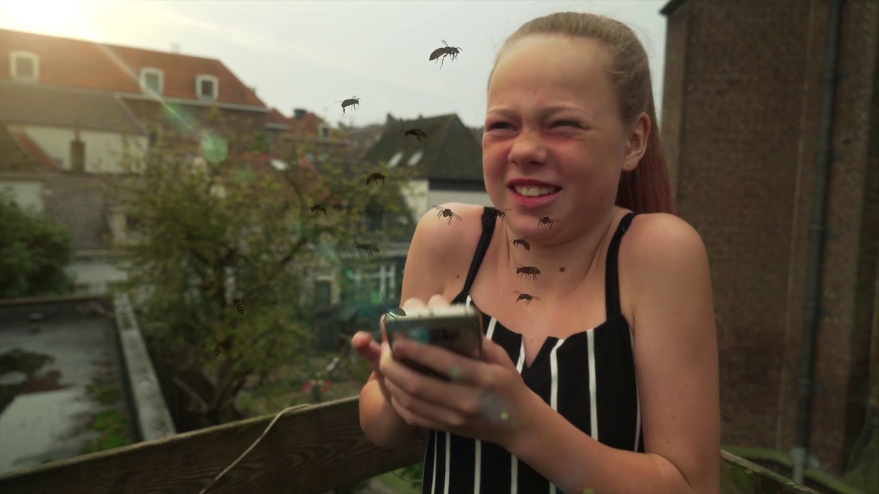 Hoe voorkom je overlast door wespen?