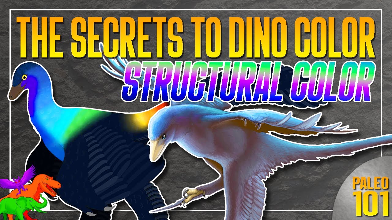 What Color Were Dinosaurs? | All About Structural Color | Paleo 101 X Prehistoric Palettes