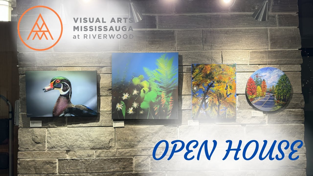 Что такое Visual Arts Mississauga?