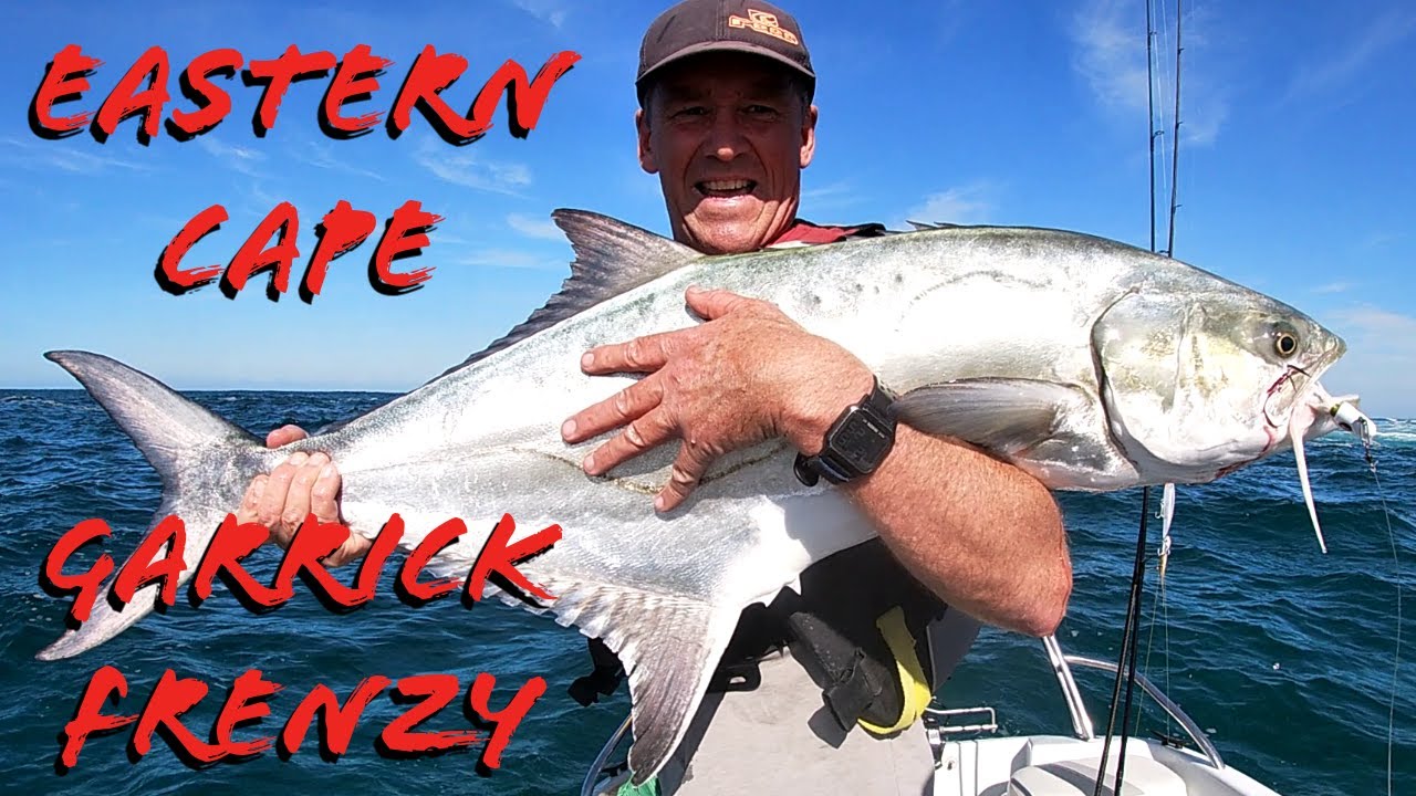 Eastern Cape Garrick (Leervis) frenzy. The Leeries are back and feeding aggressively.