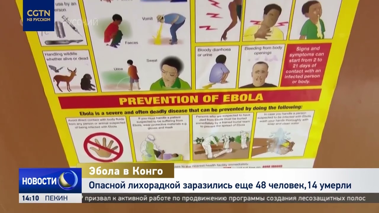 48 more people infected with Ebola in the Republic of the Congo, 14 patients have died