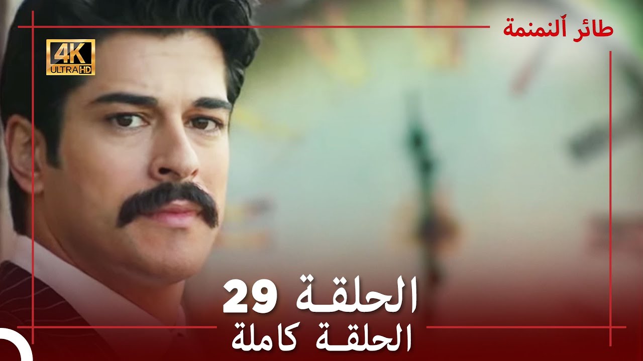 طائر النمنمة -الحلقة 29-جودة عالية