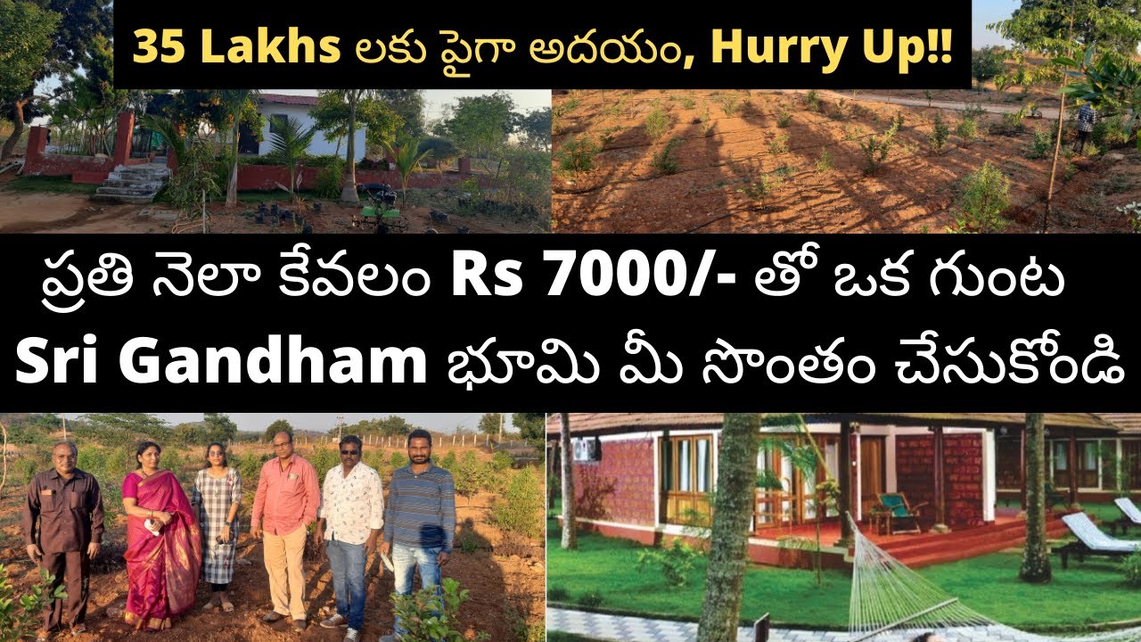 Buy Sri Gandham Plants Farm Land @Just 7000 Without Any Down Payment, Plot For Sale Multiple Returns