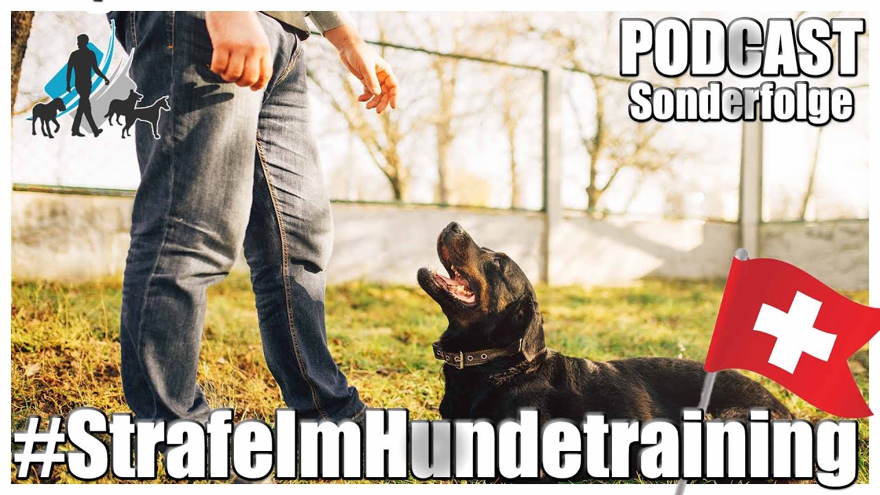Strafe im Hundetraining