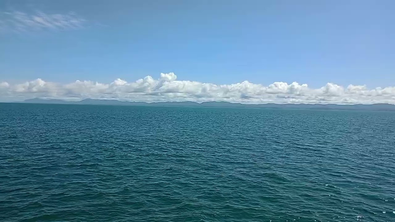 Sea view 10 August 2025