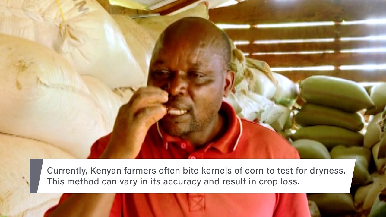 Improving Post-Harvest Management in Kenya