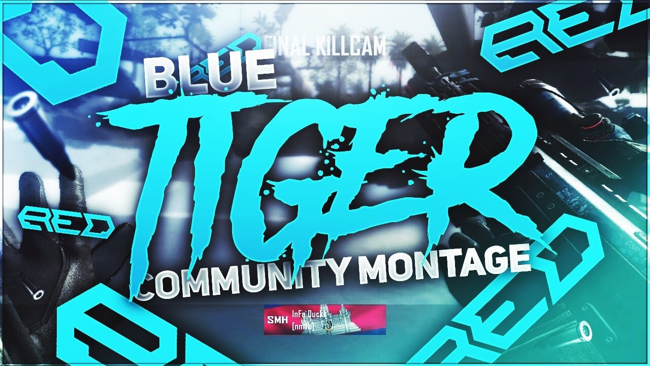 Blue Tiger Community Montage by Ligie & Keezoh (Online)