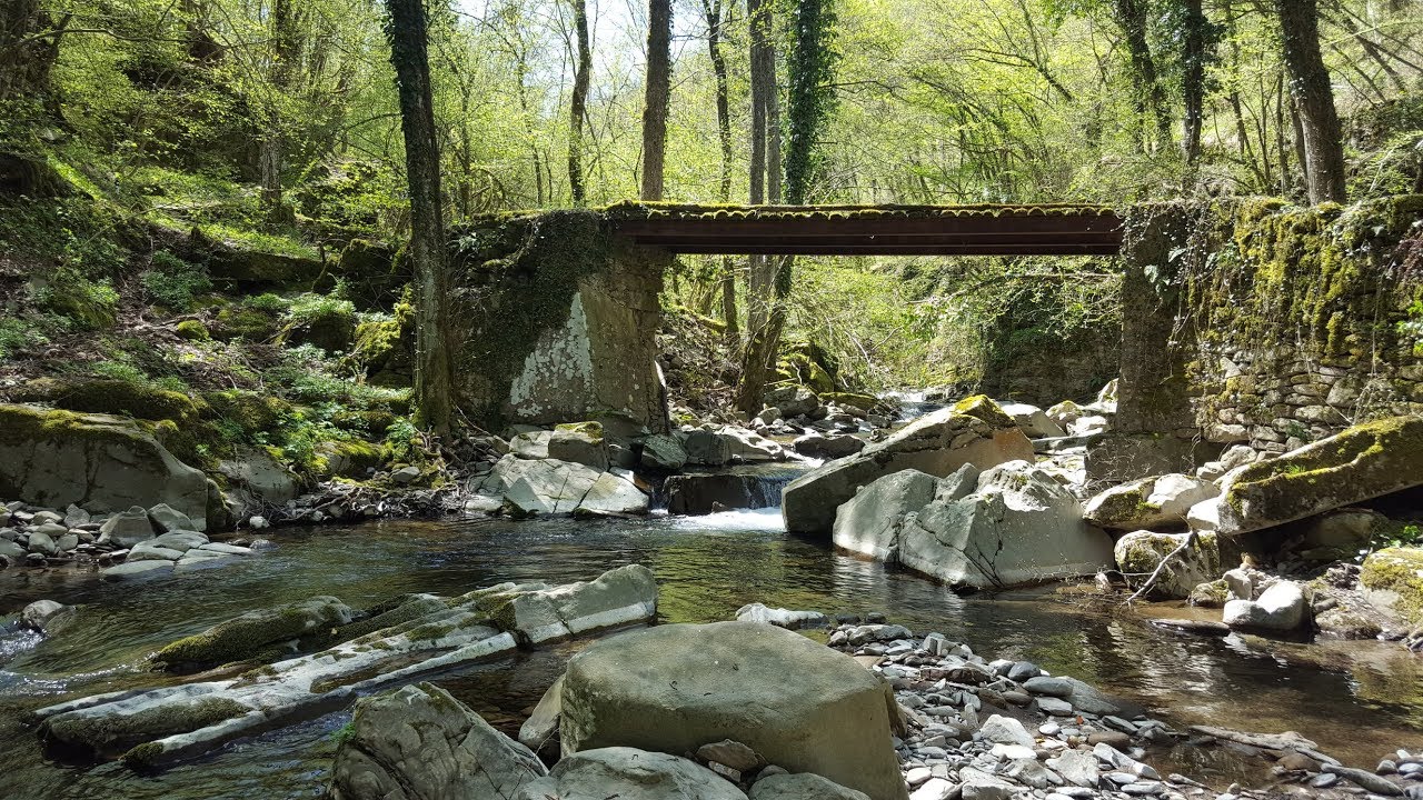 Limentrella di Treppio - Pesca a mosca nei torrenti dell'Appennino Tosco Emiliano - WildFly.it