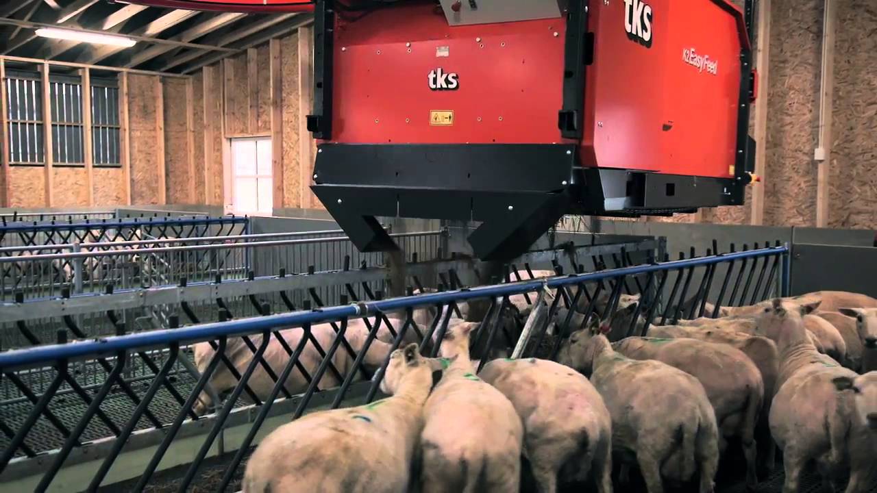 KUHN System TKS EasyFeed Schapen voeren