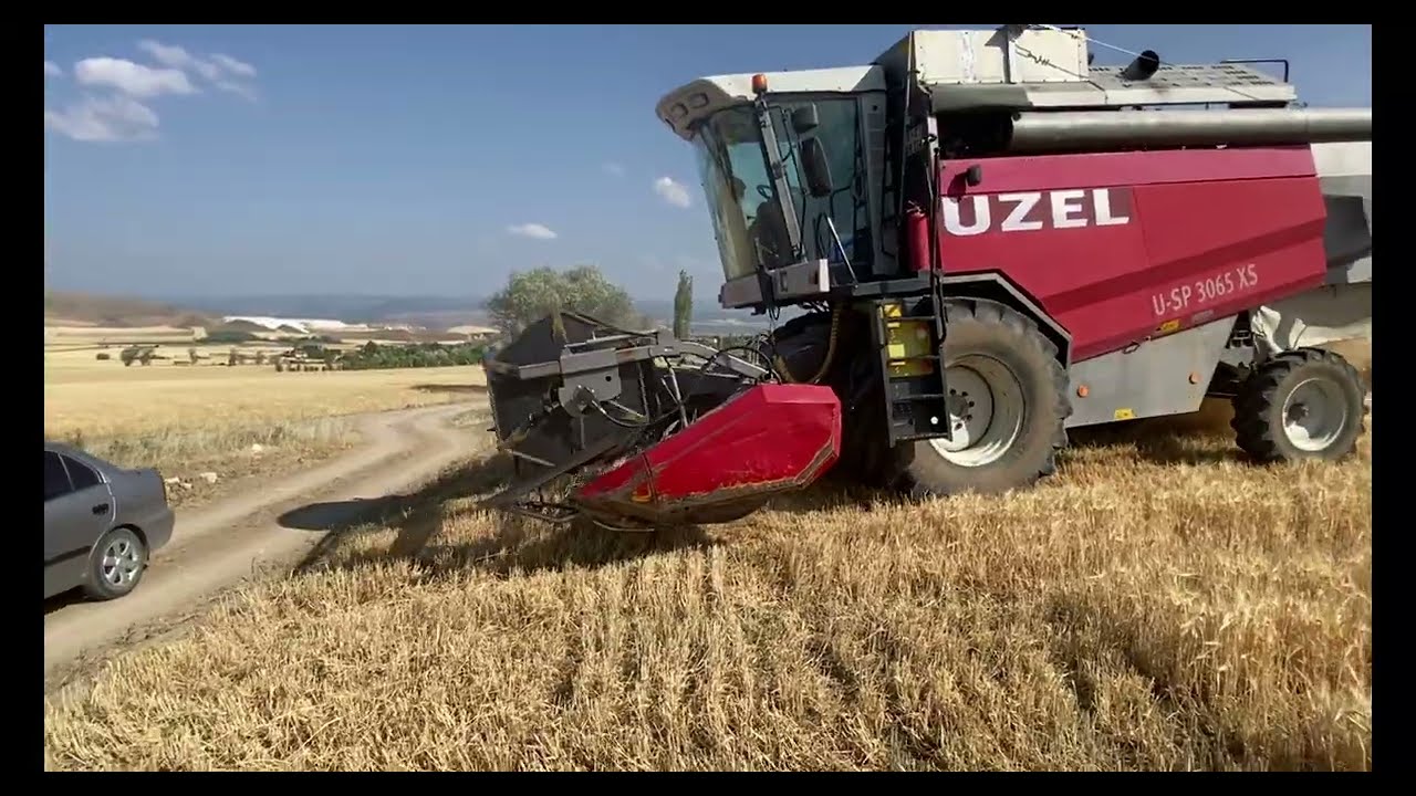 Harvesting barley with UZEL harvester Döverbiçer ile arpa biçimi 