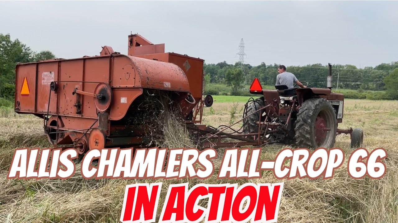 Allis Chalmers All-Crop 66 Combine In Action