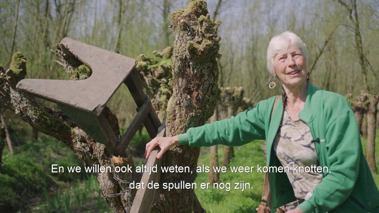 Spindotters, knotwilgen en bevers in Klein Profijt