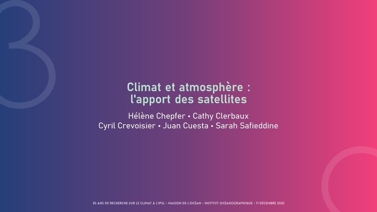 Des approches couplant modélisation et observations pour l'étude du cycle du carbone dans l'océan