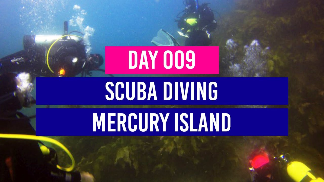 DAY 9 🤿 Scuba diving in the Coromandel - Mercury Island - New Zealand Travel