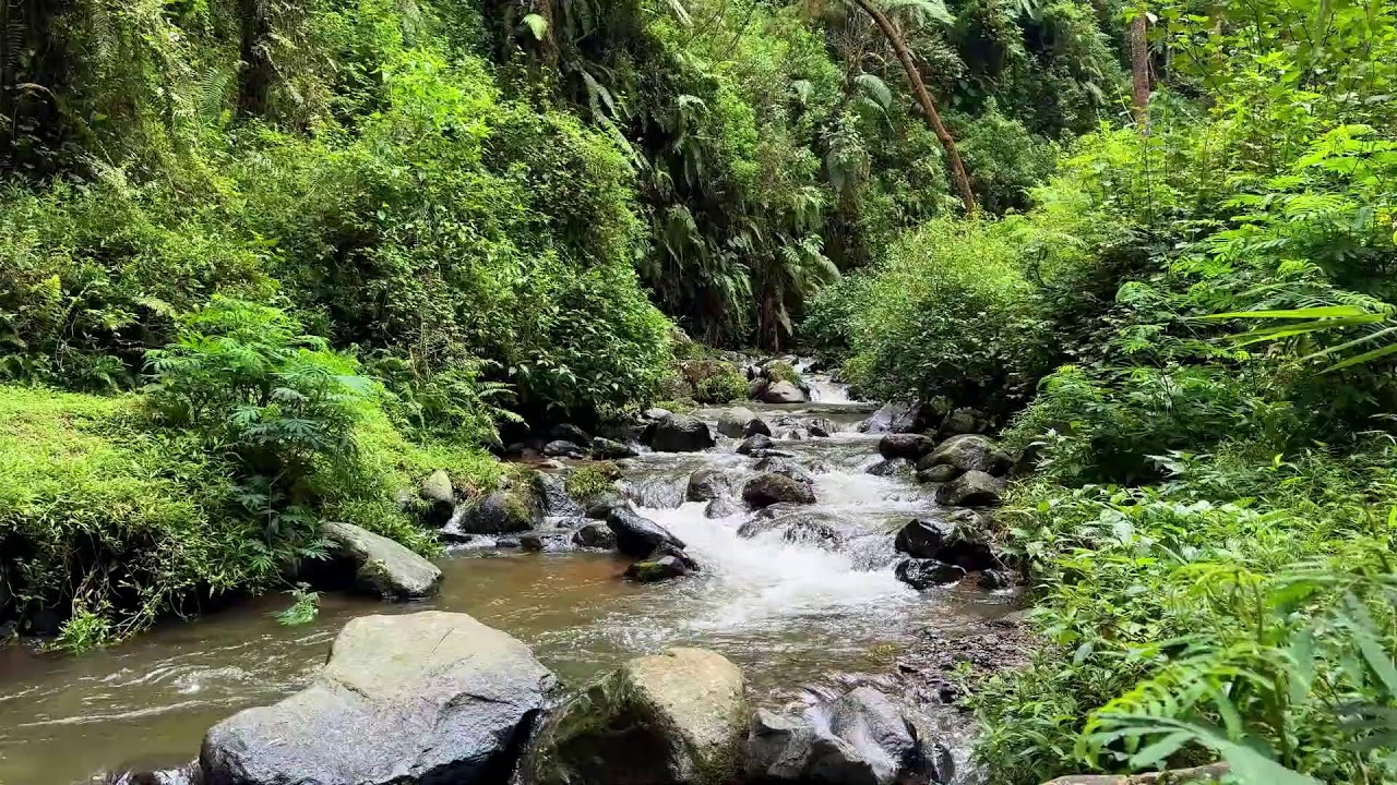 Natural river sound near quiet water shaping deep sleep and gentle dream protection