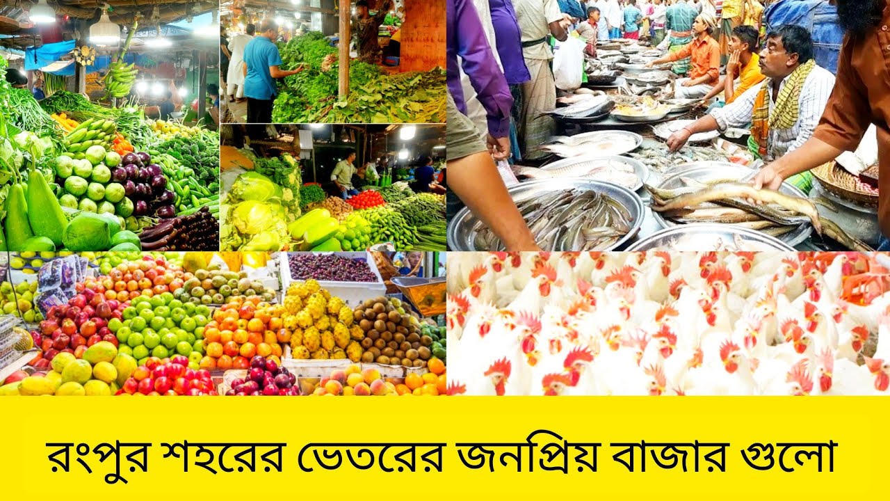 রংপুর শহরে সব থেকে জনপ্রিয় বাজার গুলো ভ্রমণ Rangpur Bazar Vlog .. 
