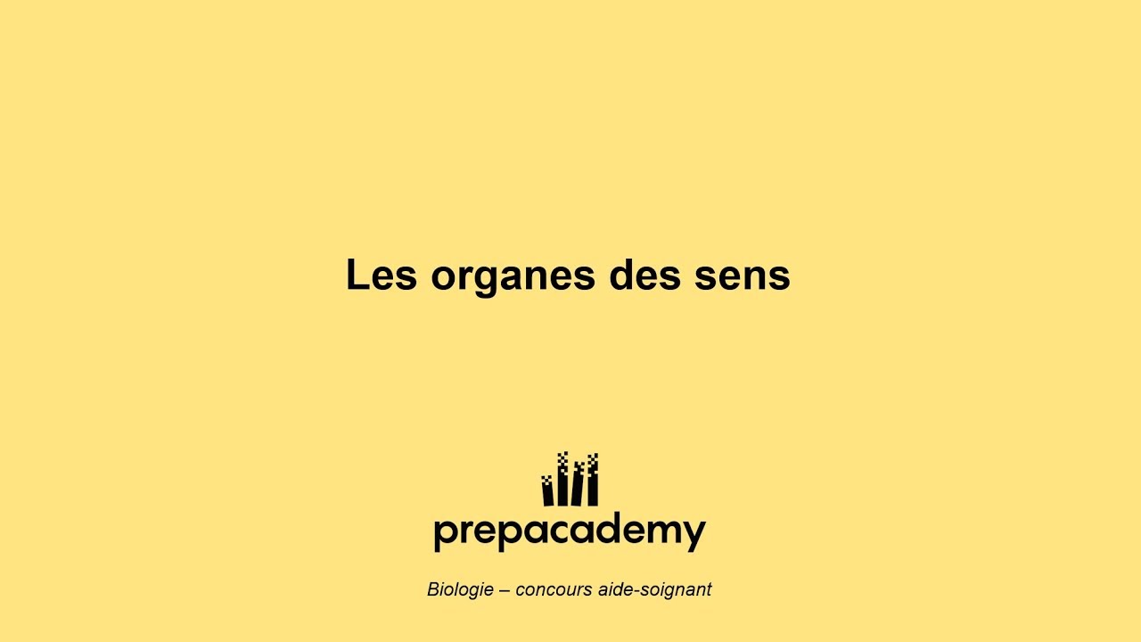 Les organes des sens