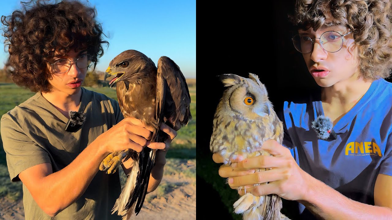 Nunca Había Visto Tantas Aves…
