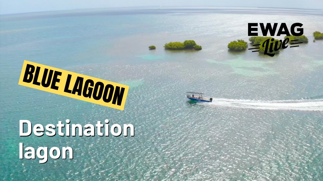 Blue Lagoon, excursions dans le Grand-Cul-de-Sac-Marin