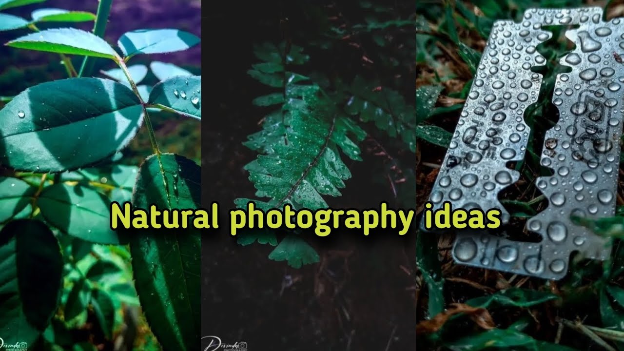 Natural | Mobile Photography ideas #photo #video #photography #viralvideo #photographer #viral .💡🍃