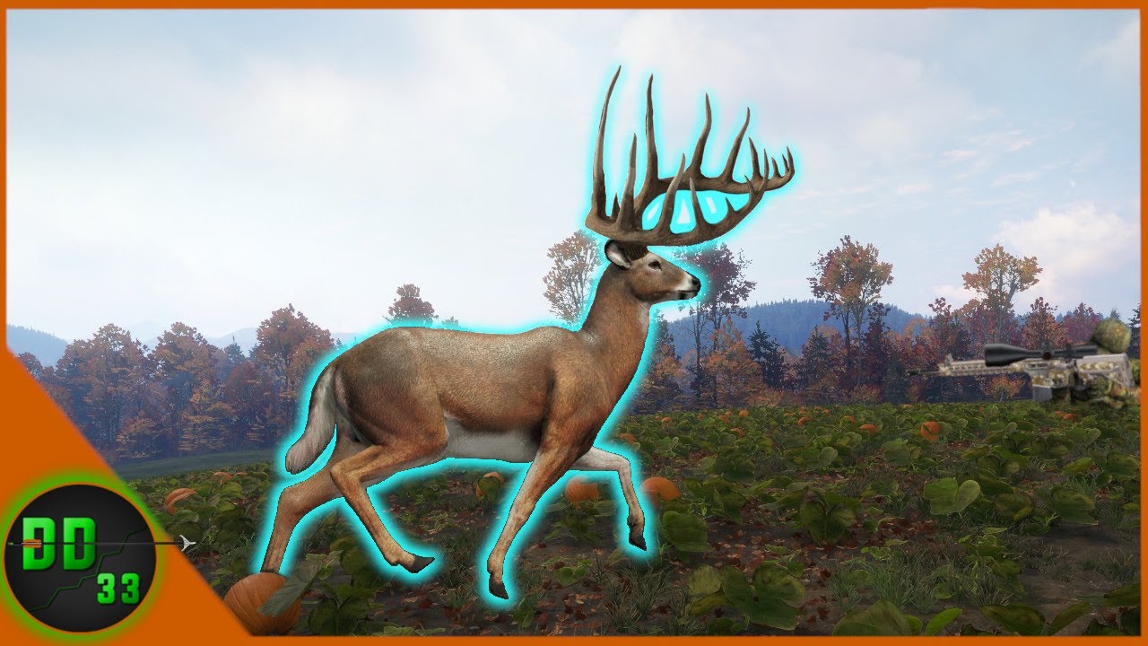 Returning To The Greatest Pumpkin Patch For Monster Whitetail! Call Of The Wild