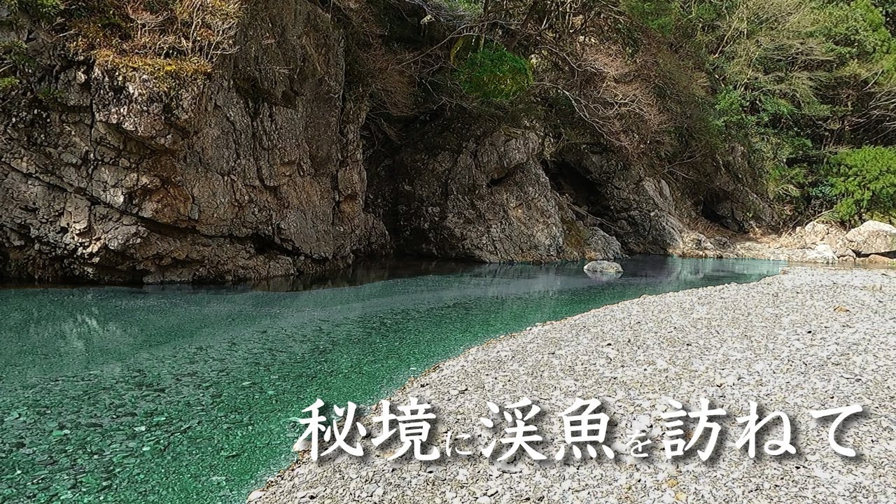 【あまから釣査隊】川上村 中奥川 アマゴ解禁！【ゴールデンミーン】