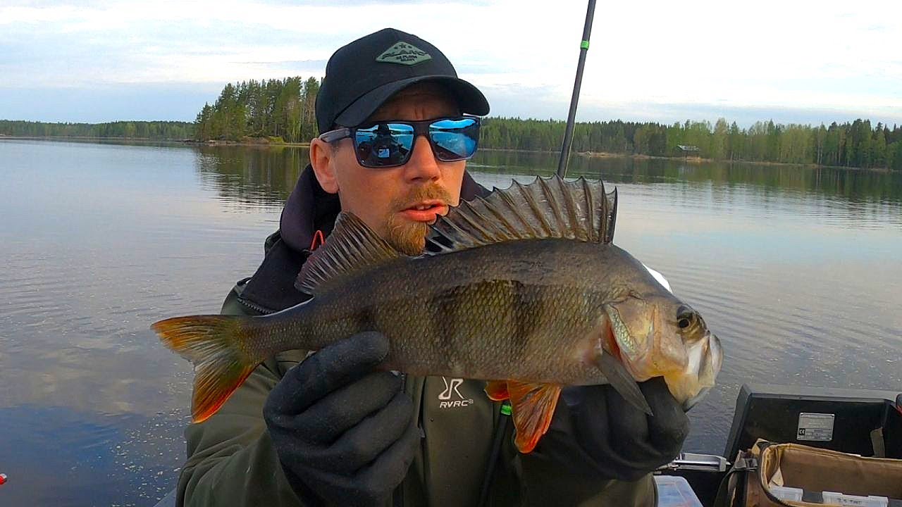 KUHAN JA AHVENEN KALASTUS MATALASTA | JIGIKALASTUSTA TUMMISSA VESISSÄ