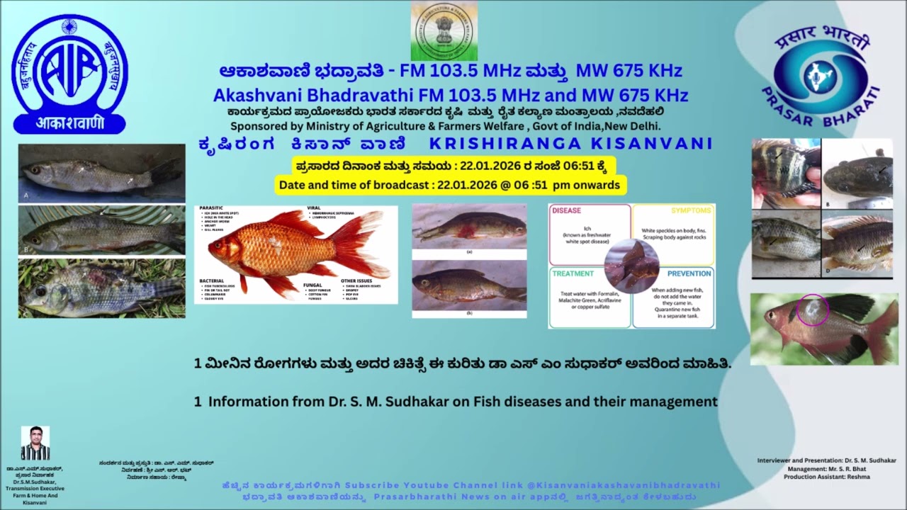 ಮೀನಿನ ರೋಗಗಳು ಮತ್ತು ಅದರ ಚಿಕಿತ್ಸೆ ಕುರಿತು