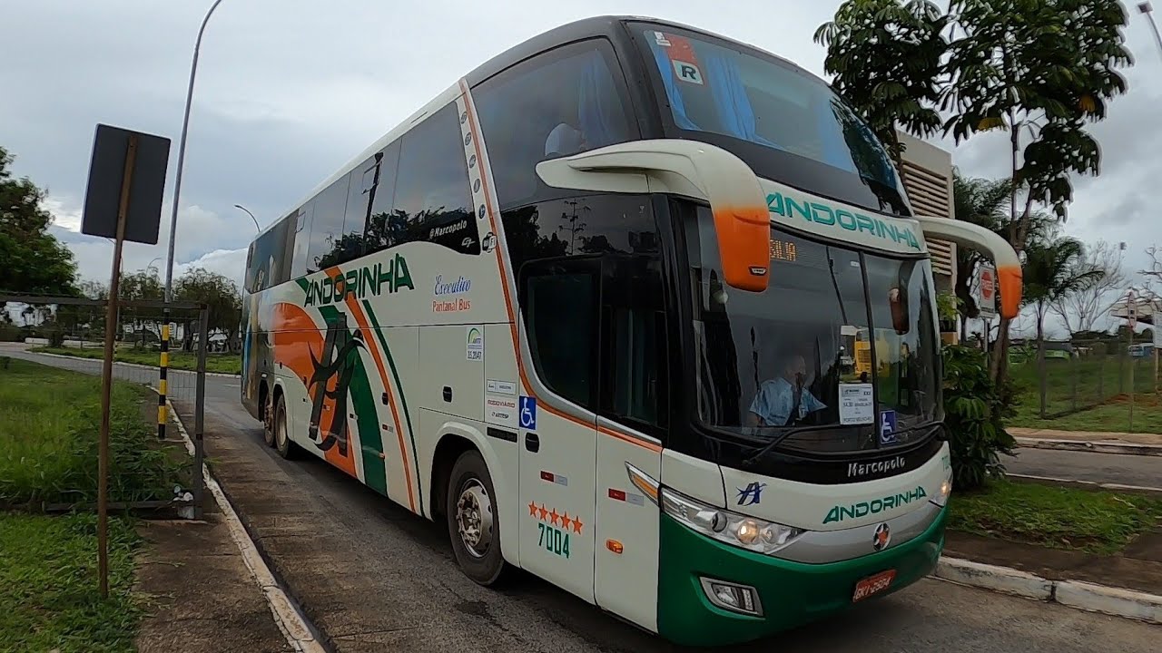 Movimentação Rodoviária de Brasília #2 | Véspera de NATAL 2022 | Ônibus Extras