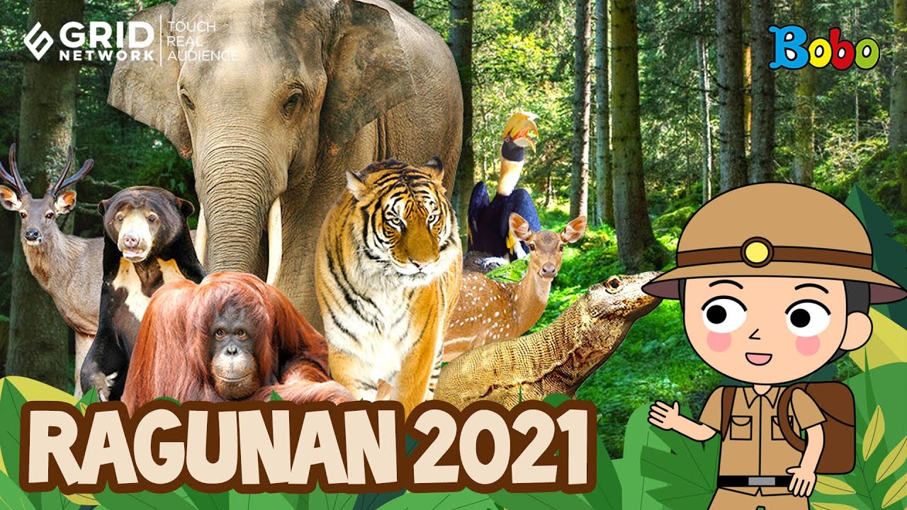 Kebun Binatang Ragunan - Cara Berkunjung Saat Pandemi