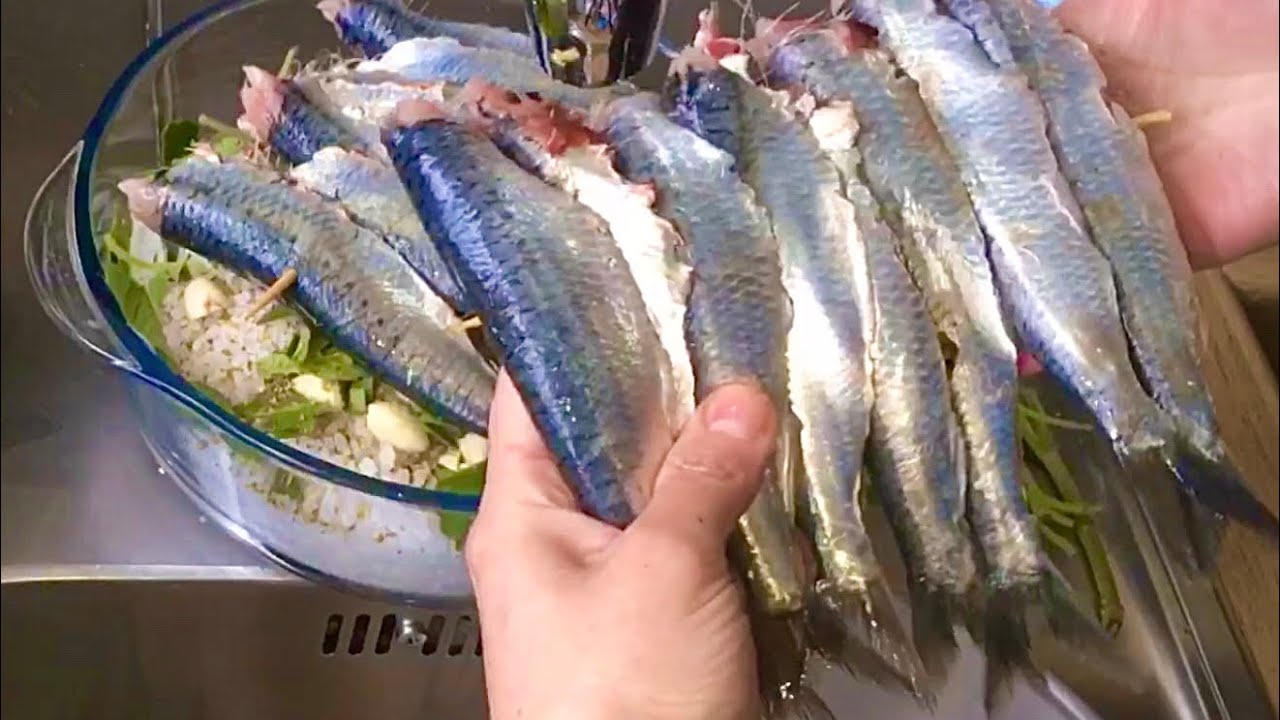Sardines au gros sel façon anchois سمك السردين بطريقة الأنشوجة sardines anchovies version