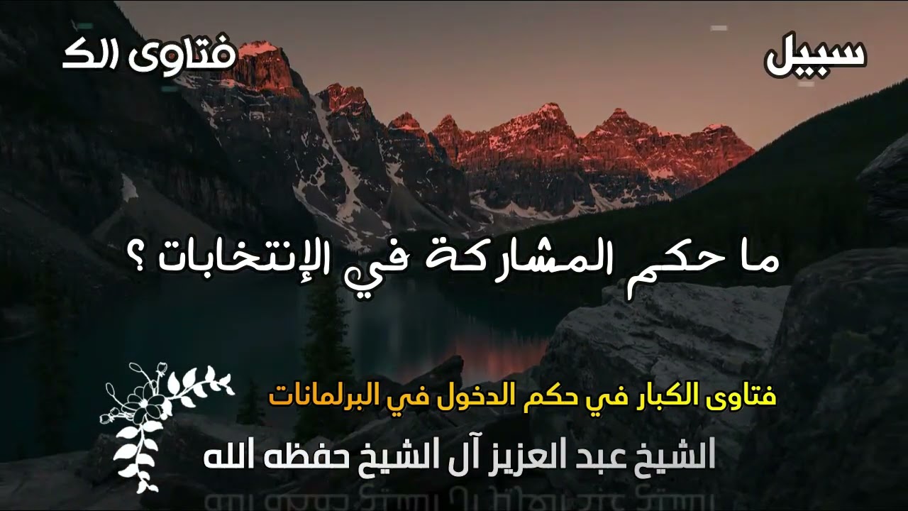 ما حكم المشاركة في الإنتخابات ؟