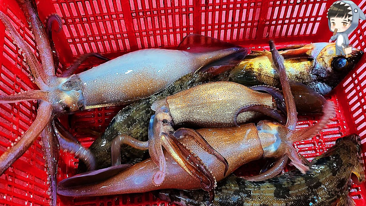 Assorted Seafood Sashimi Songdo Fish Market Pohang Korea 포항 송도 활어회센터 해물모듬회 13 etc