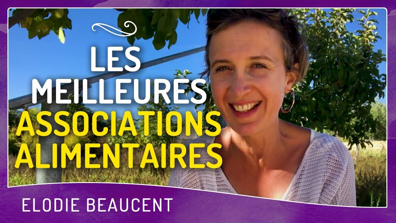 Les meilleures associations alimentaires