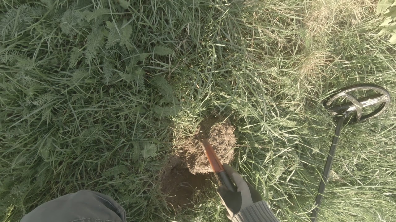 COINS FOUND WITH DEUS XP. DEEP PROGRAMME