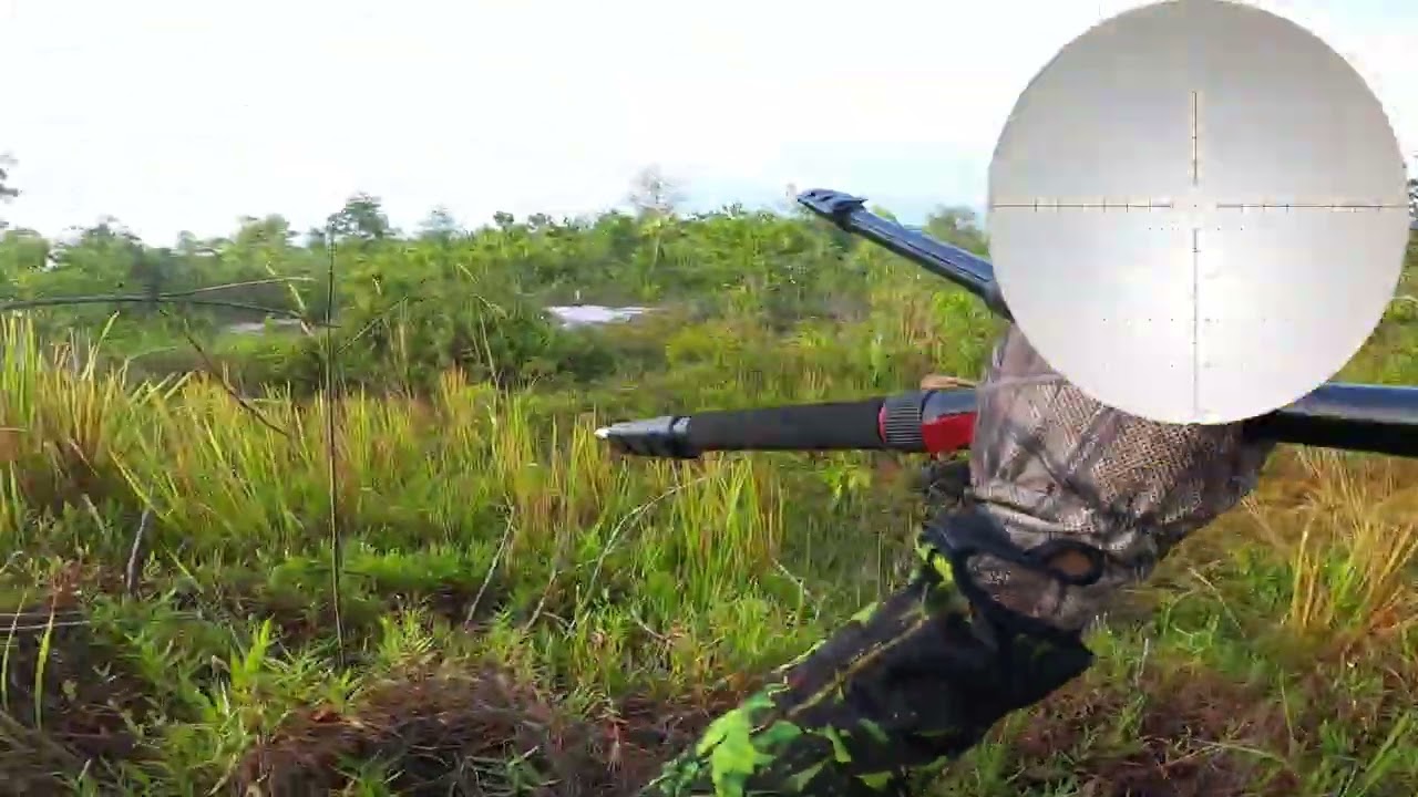 Detik-detik Unit mulai gila🤦‍♂️🤦‍♂️#hunting #punai 