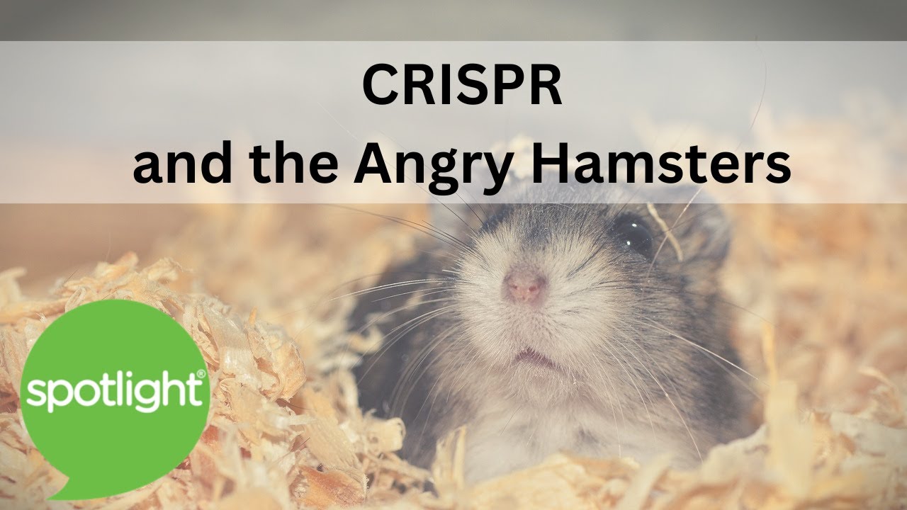 CRISPR and the Angry Hamsters| practice English with Spotlight