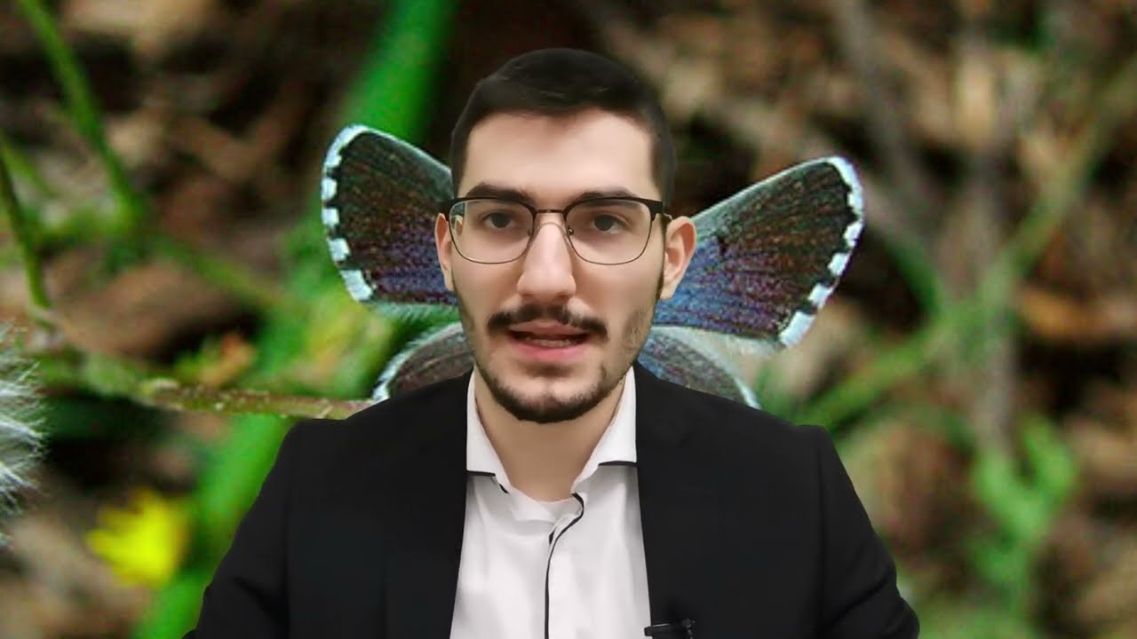 אבישג השונמית