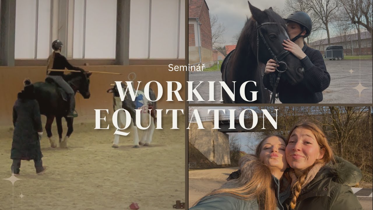 Začínáme s working equitation // Vlog