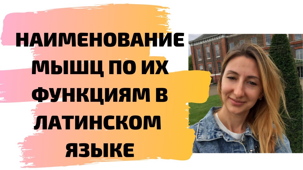Наименовае мышц по их функциям в латинском языке
