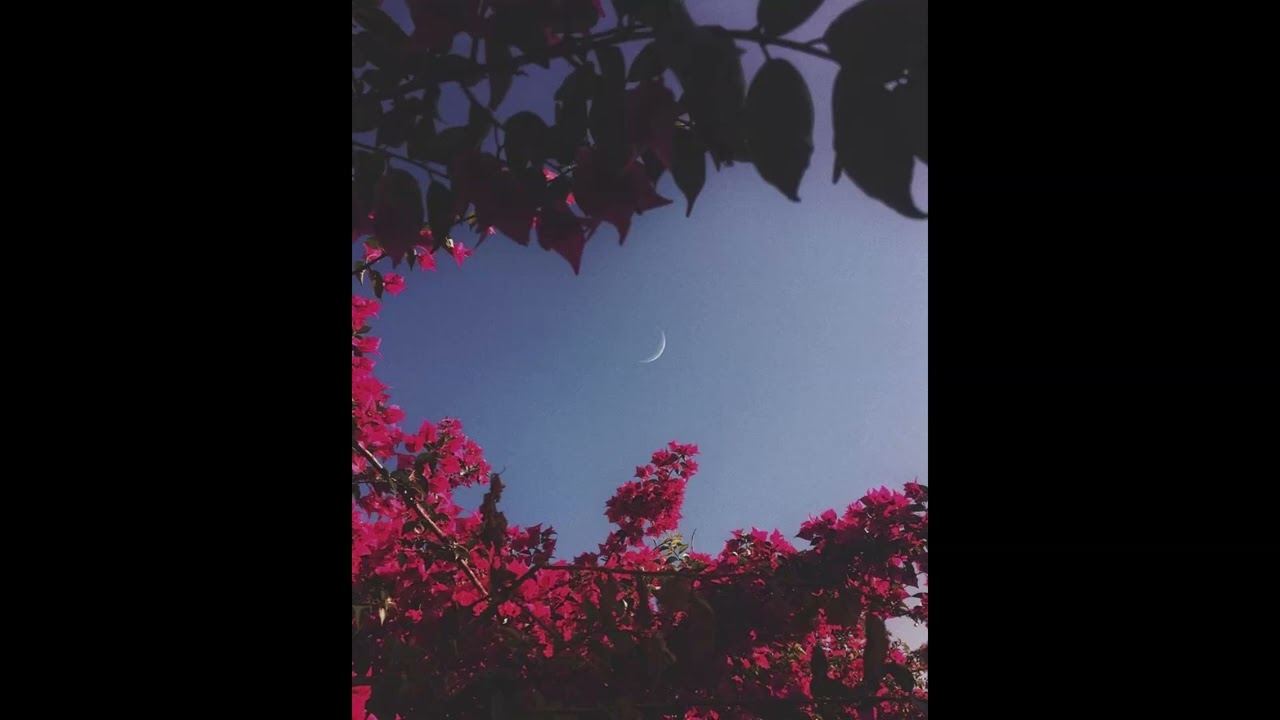 ISHA x LIMSA D'AULNAY / Type beat 