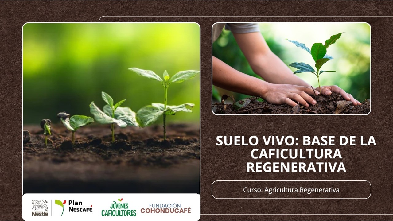 Clase 2: Suelo vivo; Base de la caficultura regenerativa