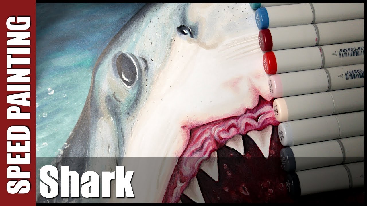 ✎ Rysunek #28 - Shark | Copic & Polychromos