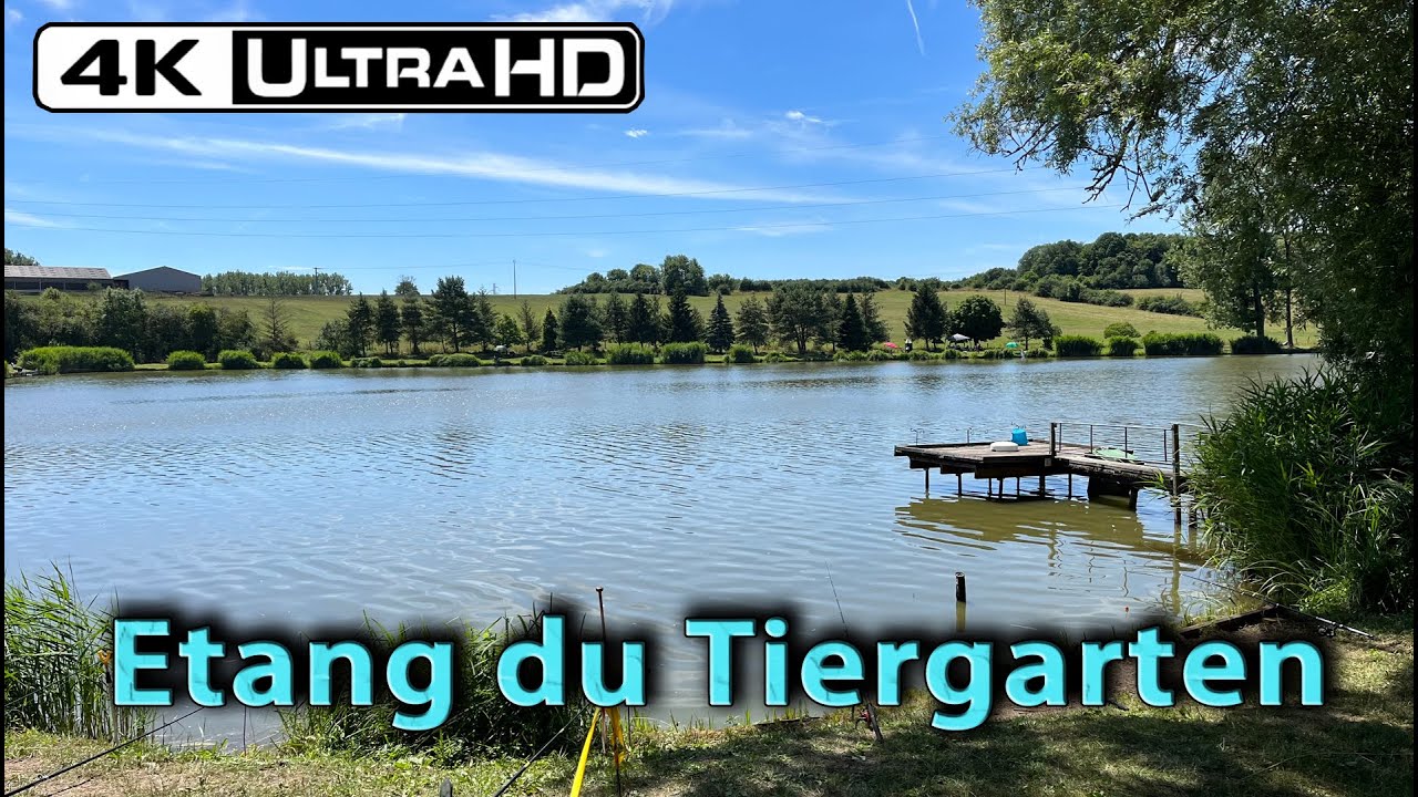 Etang du Tiergarten | See zum Relaxen, Grillen, Angeln