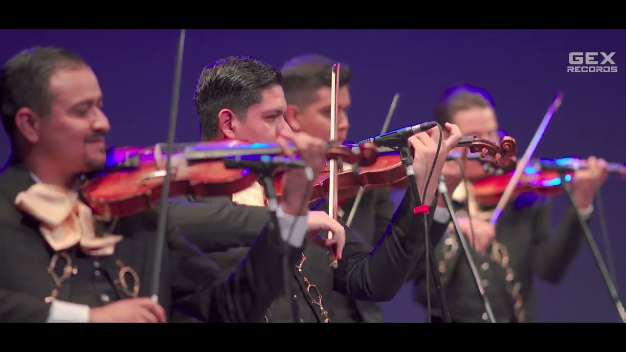 Mariachi Pura Sangre - Llamarada