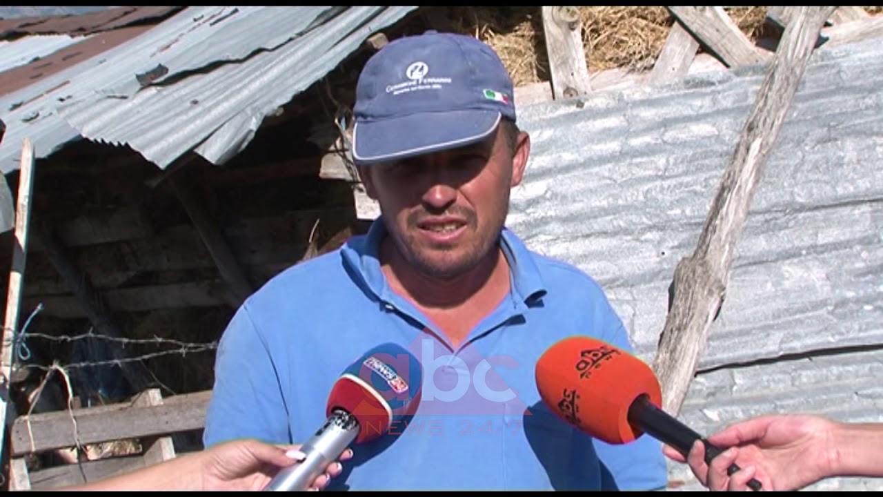 Korce hajdutet sulmojne fshataret ne Pulah, u therin dhe u marrin bagetite| ABC News Albania