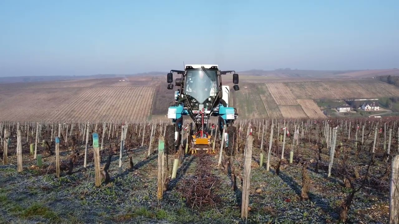 Broyage des sarments de vigne sur le chablisien