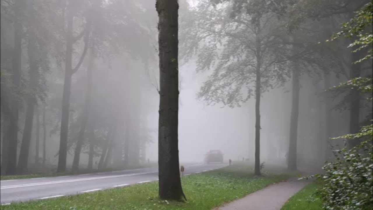 Oblivion (Piazzolla)-  Corneille Roelofs Trio