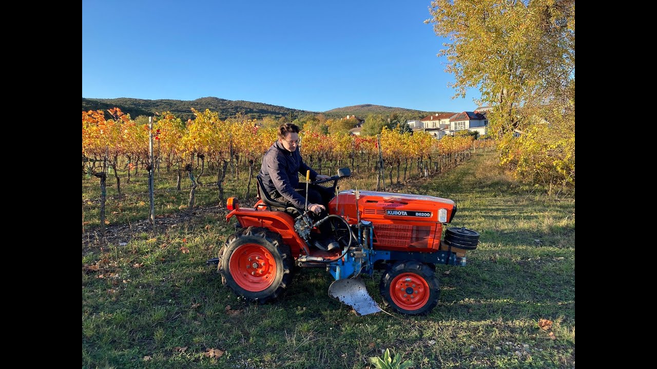 Anhäufeln im Weinbau, ein Pflug ist genug