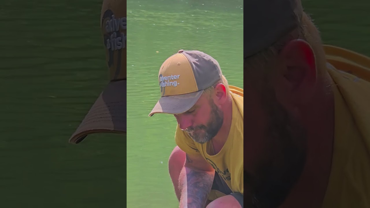 🎣ReWik Ryb&aacute;rske videa  #rybolov #rybarske #kapor #kapr #rybareni #kaprarina #uvody #naryby #lovkapra